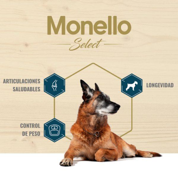 Fullerton Monello Select Perros Senior Pollo Y Arroz Kg Fullerton