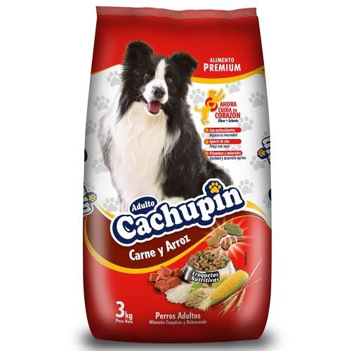 CACHUPIN CARNE