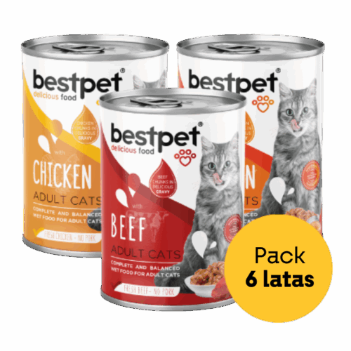 pack 6 latas best pet