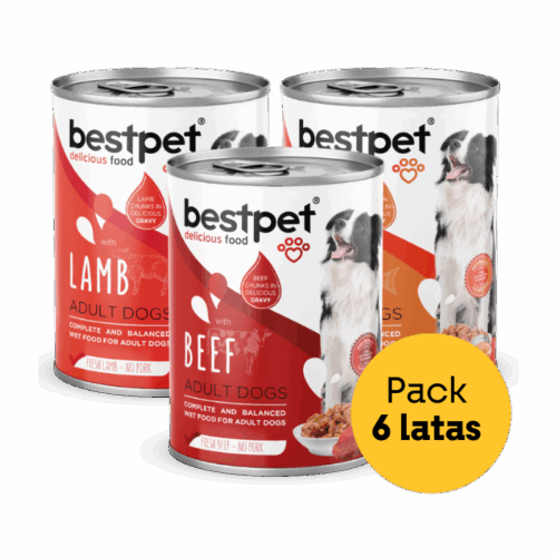 pack 6 latas bestpet